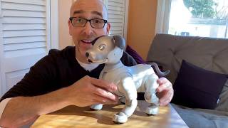 Sony Aibo ERS1000 Review It’s the Ultimate Robot Dog [upl. by Nesyla517]