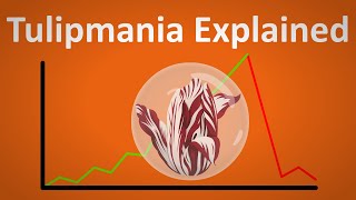 Tulipmania When a Single Tulip Could Buy You a House [upl. by Neumann]