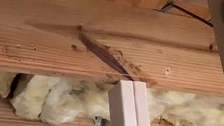 Floor Joist Repair Video [upl. by Nnaassilem837]