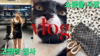 vlog l 쇼핑몰 1년차 사장 l 메인잡 고양이집사 l 투잡 프리랜서 [upl. by Anaeirb233]