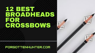 12 Best Crossbow Broadheads [upl. by Taub]