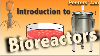 Introduction to bioreactors [upl. by Ohl791]