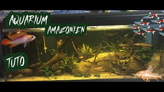 TUTO Aquarium 120 L Amazonien [upl. by Flora]