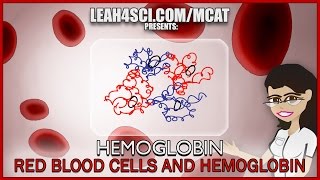 Hemoglobin Oxygen Binding and Red Blood Cells MCAT tutorial Part 1 [upl. by Newg654]