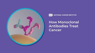 How Monoclonal Antibodies Treat Cancer [upl. by Narda441]