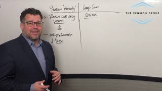 The Pension Group  Pension vs Lump Sum [upl. by Hairabez933]