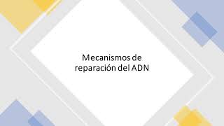 Mecanismos de reparación del ADN [upl. by Ocihc]