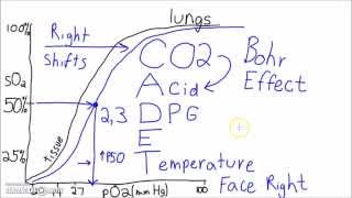 Physiology  The Oxygen–Hemoglobin Dissociation Curve [upl. by Onez]