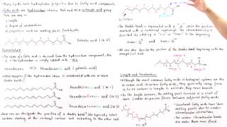 Fatty Acids [upl. by Craggy]