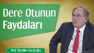 Dere Otunun Faydaları  Prof İbrahim Saraçoğlu [upl. by Tiffanie]