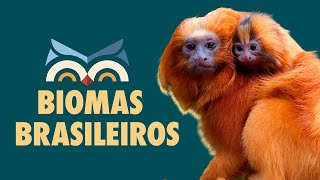 Biomas Brasileiros  Toda Matéria [upl. by Ydoj]