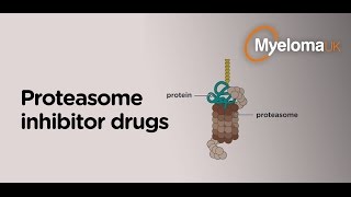 Proteasome inhibitor drugs [upl. by Scheld]