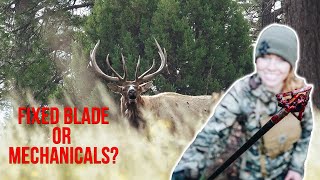 What Is the BEST BROADHEAD For ELK HUNTING [upl. by Kimmi]