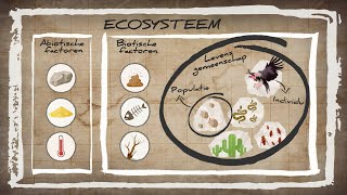 WAT IS EEN ECOSYSTEEM  Ordening Basisstof Biologie Havo  Vwo [upl. by Tisbee]