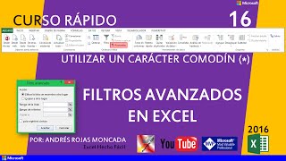 16 Utilizar un carácter comodín asterisco  Filtros avanzados [upl. by Anderer]