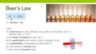 Spectrophotometric Enzyme Assays [upl. by Mahmud]