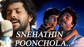 ethamruthum tholkkum  Snehathin Poonchola cover  Malayalam Cover songs  Patrick Michael [upl. by Irtimed209]