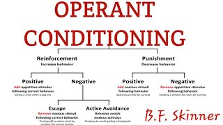 Operant conditioning in learning psychology [upl. by Adlih]