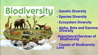 biodiversity its types alpha beta gamma diversity importance amp loss of biodiversity [upl. by Klump]