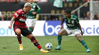 PALMEIRAS VS FLAMENGO AO VIVO [upl. by Pedroza]