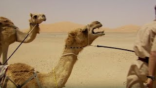 Deserted By Desert Camels  Ben amp James Versus The Arabian Desert  BBC [upl. by Meelas]