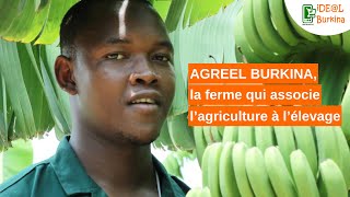 Burkina Faso La ferme qui associe l’agriculture à l’élevage [upl. by Lexerd]