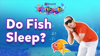 Do Fish Sleep  BYJUS Fun Facts [upl. by Algie]