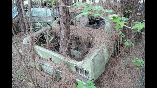 Barn Finds  56 Classic Mustangs Discovered in Woods in Louisiana [upl. by Ayhtak]