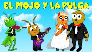 El piojo y la pulga  Canción Infantil en Español [upl. by Sherourd]