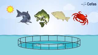 Sustainable aquaculture [upl. by Pavlov]