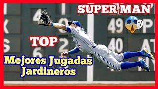 TOP Las Mejores JUGADAS De Jardineros 2019 best plays compilation MLB [upl. by Soloma]