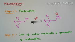 Wagner Meerwein Rearrangement [upl. by Feilak]