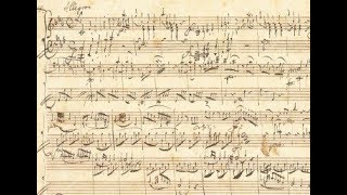 Mozart played on his own fortepiano from the original autograph Florian Birsak [upl. by Leciram]