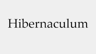 How to Pronounce Hibernaculum [upl. by Ellenor]