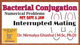 Interrupted mating gene mapping problems Bacterial conjugation [upl. by Lavena]