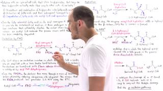 Oxidation of Fatty Acids [upl. by Natam300]