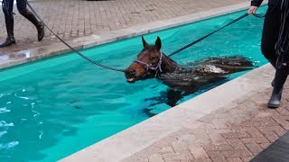 NAAR DE PAARDENZWEMLES 🦄💦  JILL HUIJBREGTS [upl. by Maud720]