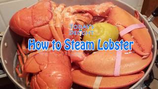 How to Steam Lobster  Todays Delight [upl. by Ita528]