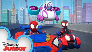 Spin Rushes In  Marvels Spidey and his Amazing Friends  disneyjunior [upl. by Schaffer]