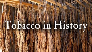 Growing Tobacco In Early America [upl. by Adlihtam688]