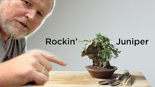 Bonsaify  Creating a Juniper Bonsai Rock Planting StepbyStep [upl. by Elnar481]