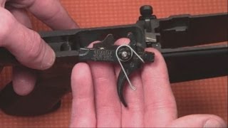 How to install the Geissele SSAE Trigger in your AR15 [upl. by Roots34]