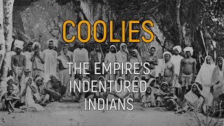 Coolies The Empires Indentured Indians [upl. by Toffic]