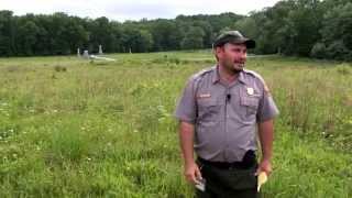 The Wheatfield A Gettysburg Battle Walk  Ranger John Hoptak [upl. by Streeter]