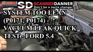 System Too Lean P0171 P0174  Vacuum Leak Quick Test  Ford 54 [upl. by Loralie59]