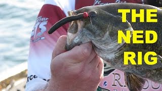 How To Fish The Ned Rig  Bass Fishing [upl. by Drislane]