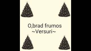 Obrad frumos Versuri [upl. by Can25]