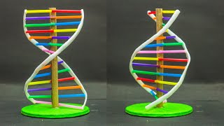 School Science Projects  DNA Model [upl. by Rednasxela150]