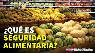 ¿Qué es Seguridad Alimentaria [upl. by Brittney]