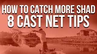 How To Catch More Shad And Stay Safe 8 Cast Net Tips [upl. by Malcom]